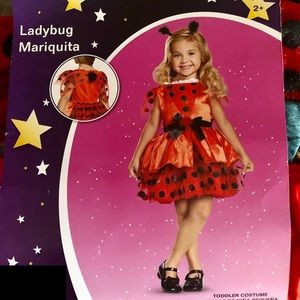 💖 Ladybug Girl Costume 💖